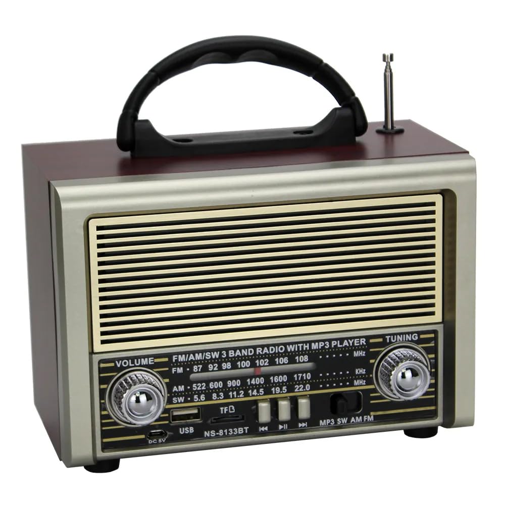 Portable FM Radio NS-8133BT