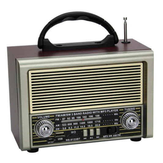 Portable FM Radio NS-8133BT