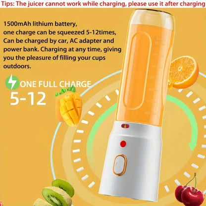 Fruit Juicer CDL-008