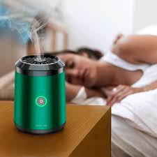 Green Lion Mini Bakhour 2